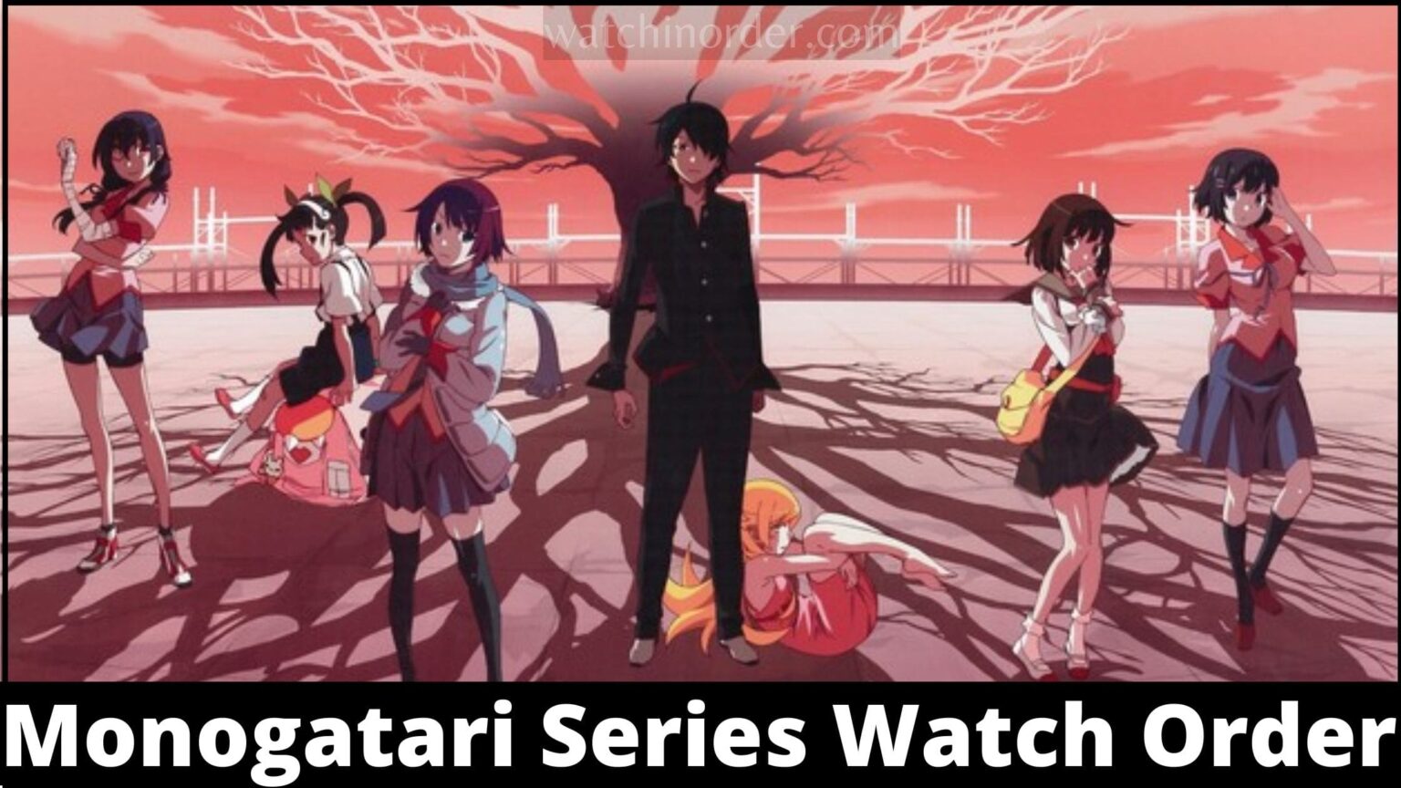 Monogatari Series Watch Order Watchinorder