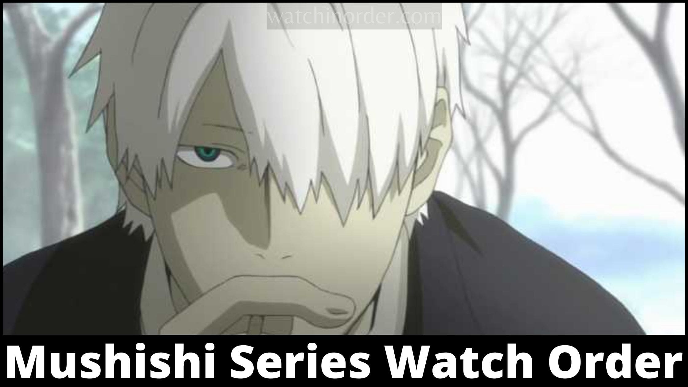 Mushishi Series Watch Order